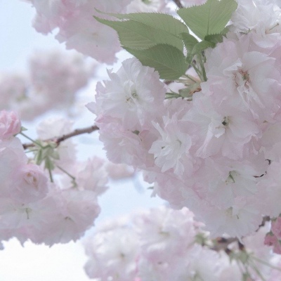 Furry插画构图灵感FurryQQ群